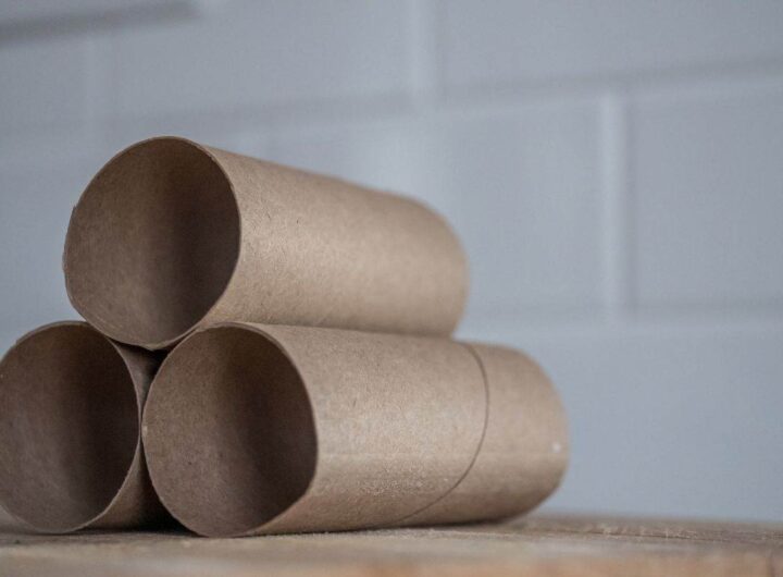 tubi carta igienica riciclo creativo