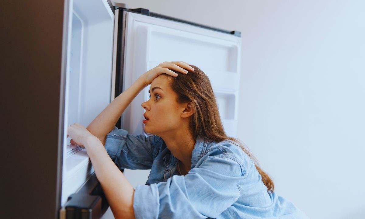 frigorifero che perde acqua