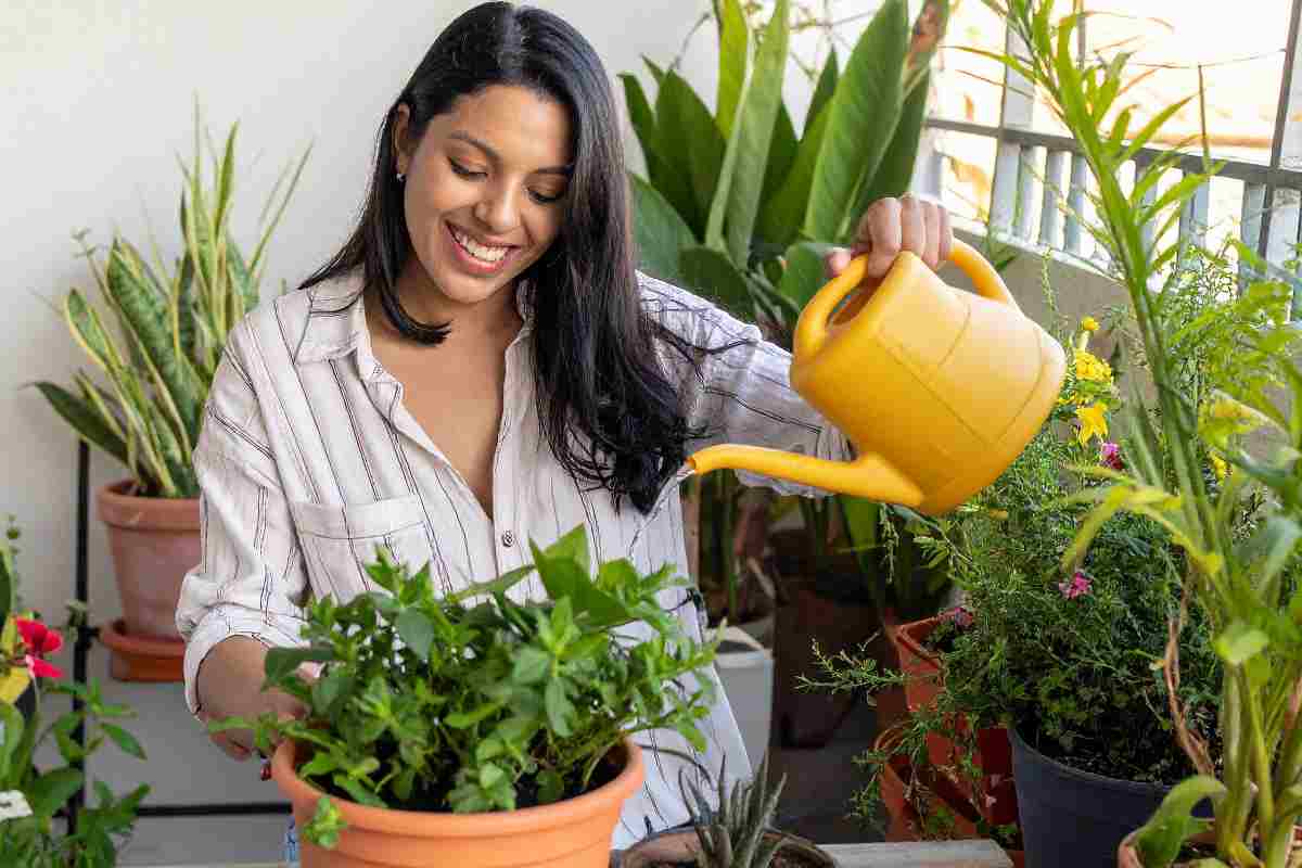 Non gettare le bustine del tè