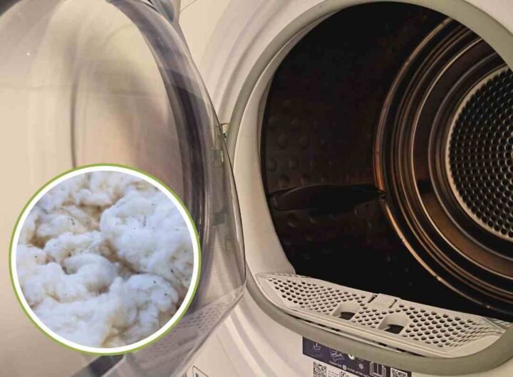 la lanugine nell'asciugatrice