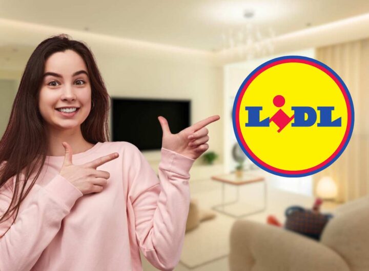lidl logo soggiorno donna indica