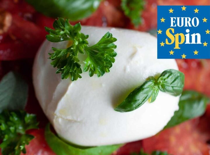 mozzarella eurospin produttore