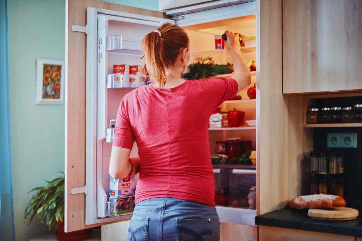 come eliminare la muffa nel frigo