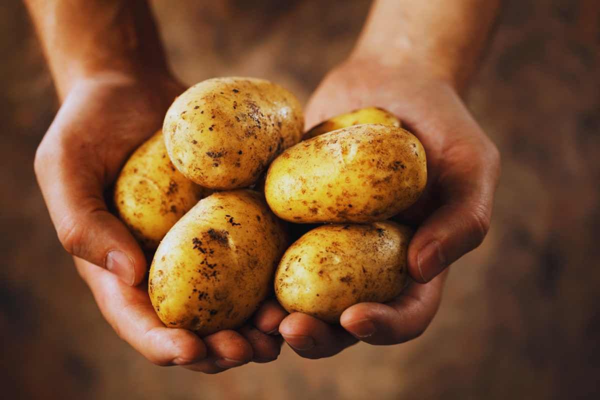 Butti sempre le patate? Con questo metodo segreto durano mesi