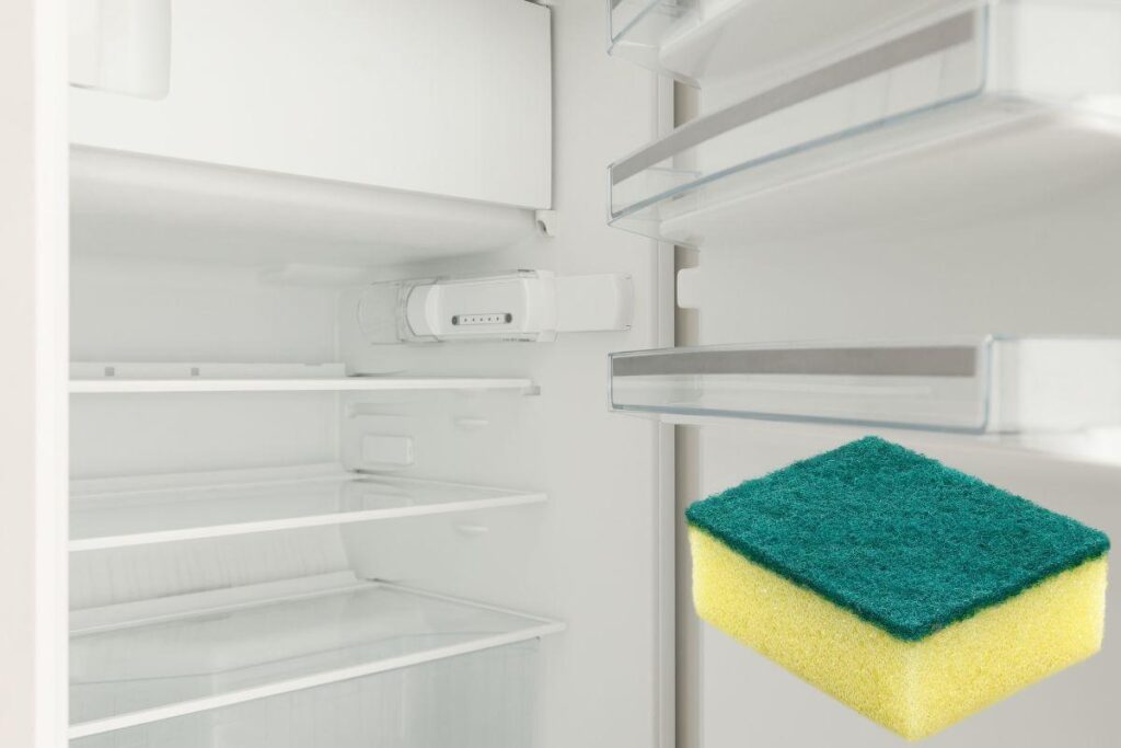 spugnetta frigo trucchetto