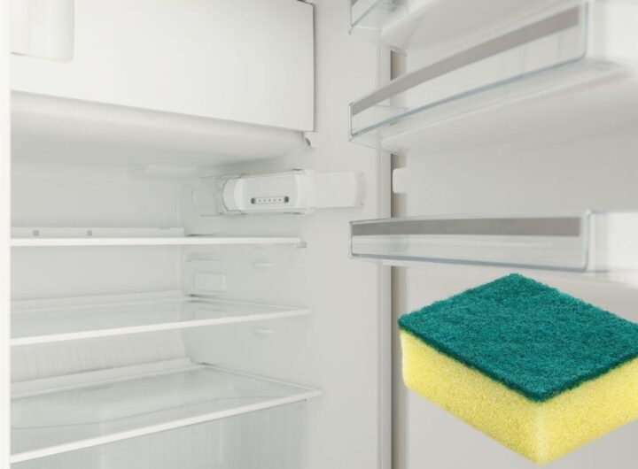 spugnetta frigo trucchetto