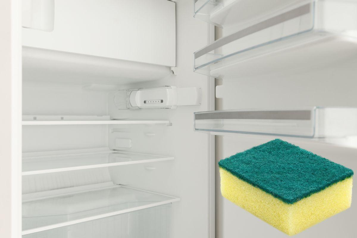 spugnetta frigo trucchetto