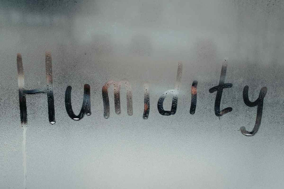 umidità assorbimento lunga vita frigo