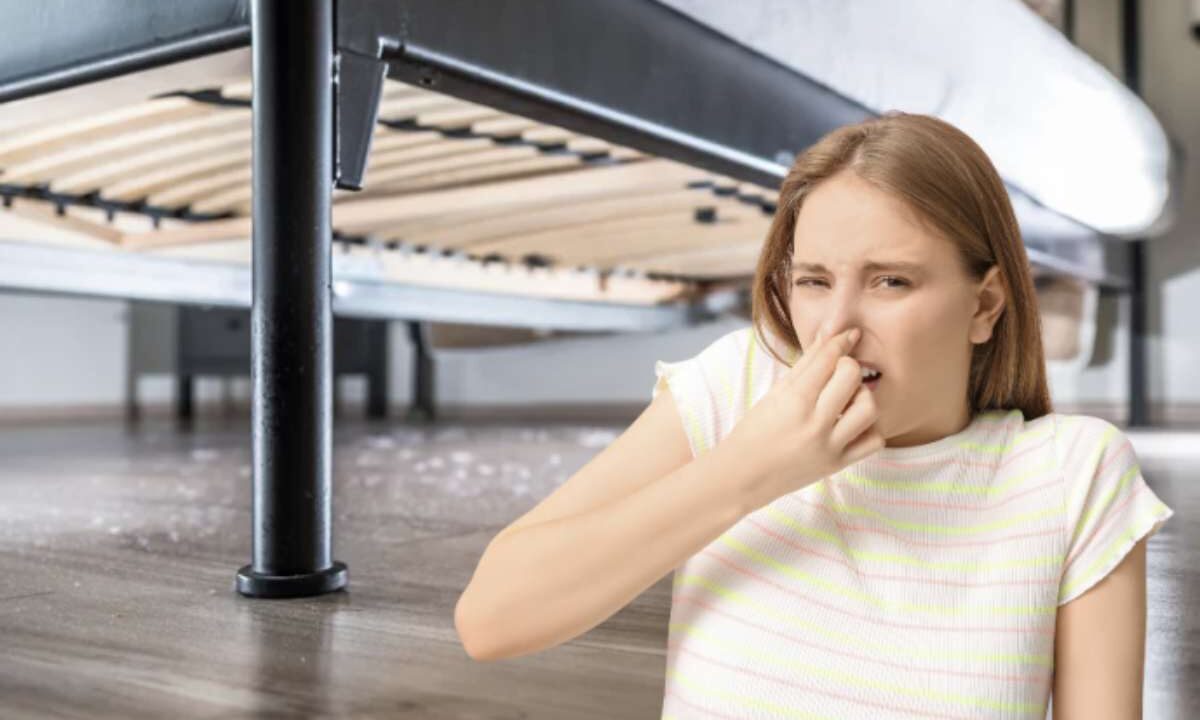 Il bicarbonato di sodio, noto per le sue proprietà assorbenti e deodoranti, si conferma uno strumento indispensabile per combattere