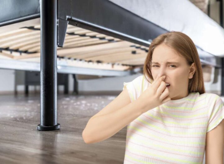 Il bicarbonato di sodio, noto per le sue proprietà assorbenti e deodoranti, si conferma uno strumento indispensabile per combattere