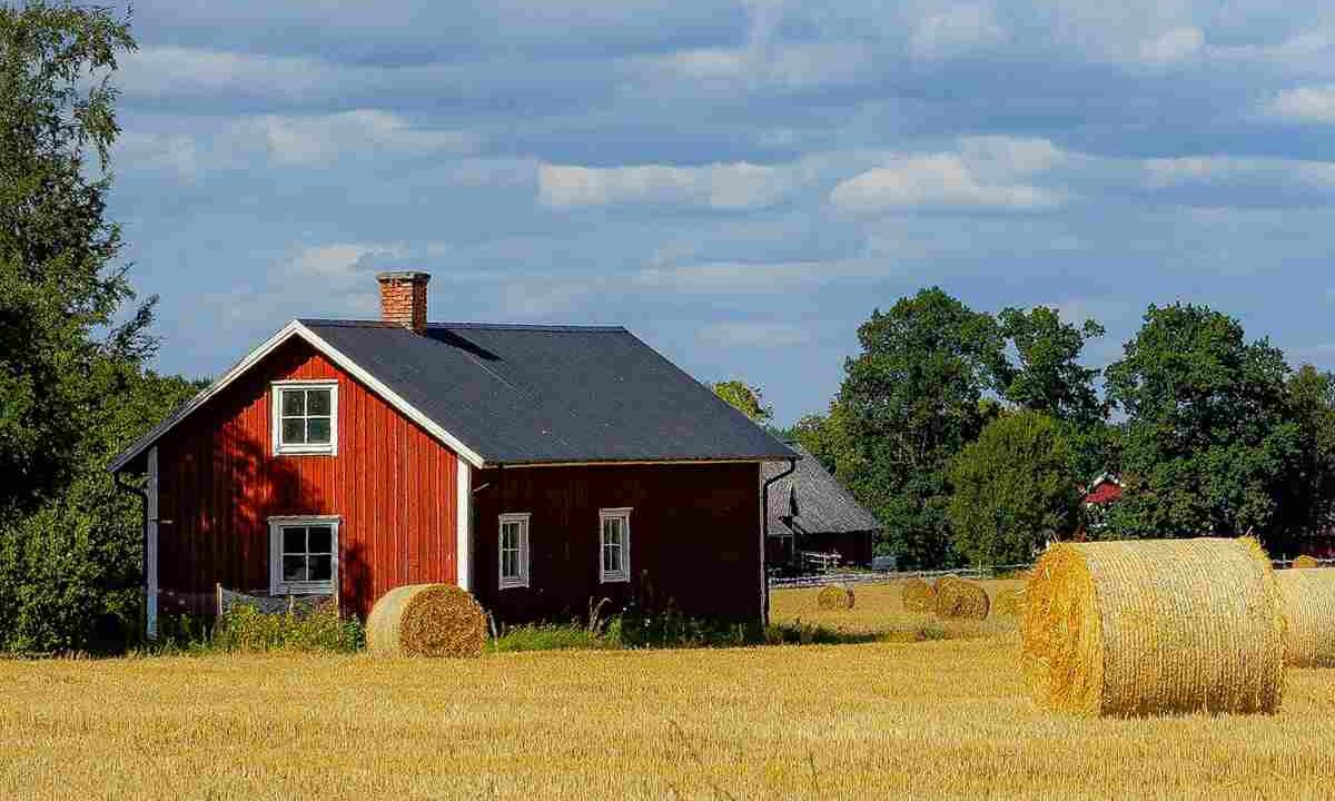 mercato immobiliare novità 2026