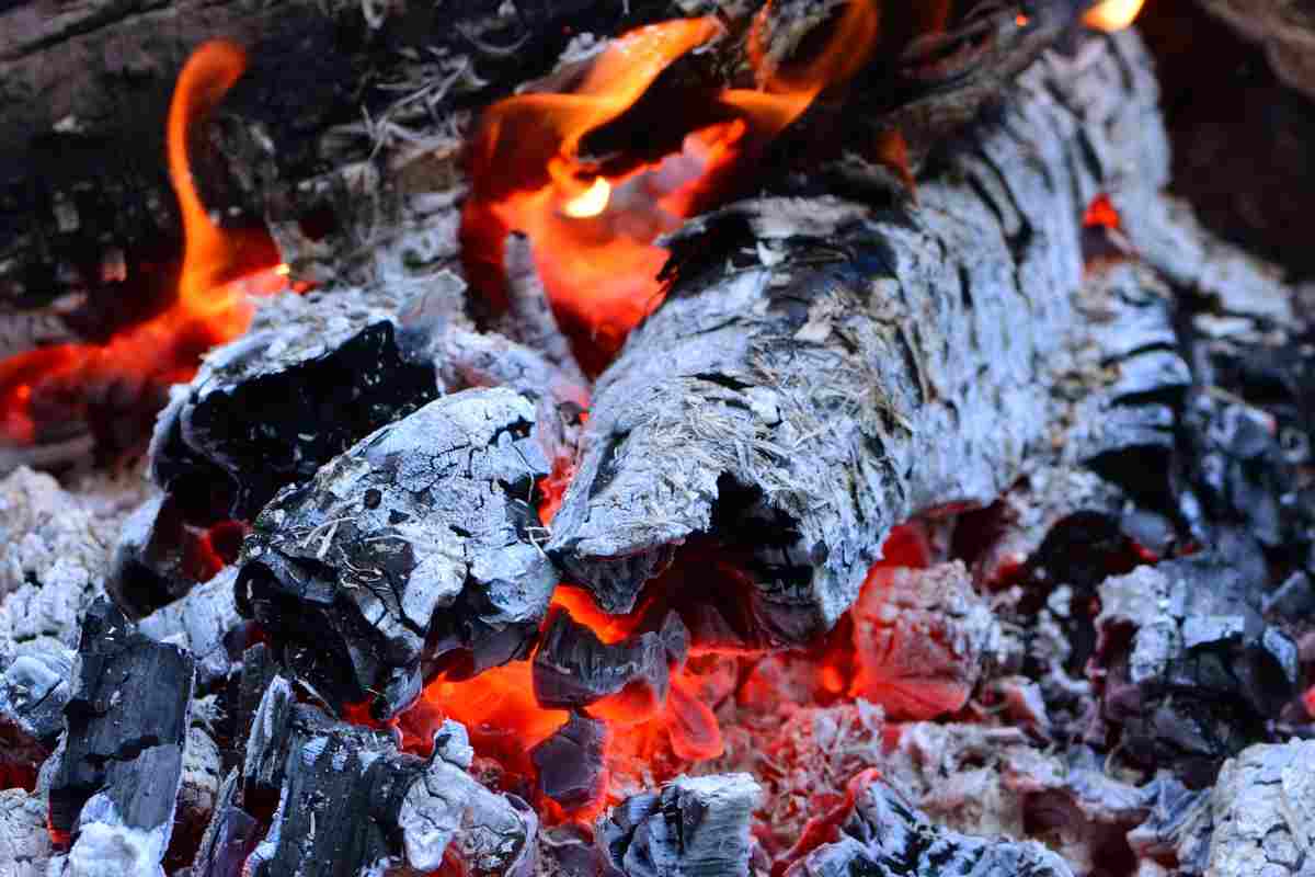 Conserva la cenere del camino ora, in primavera mi ringrazierai