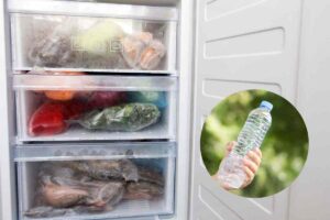 congela bottiglie d'acqua, ti aiuteranno a risparmiare