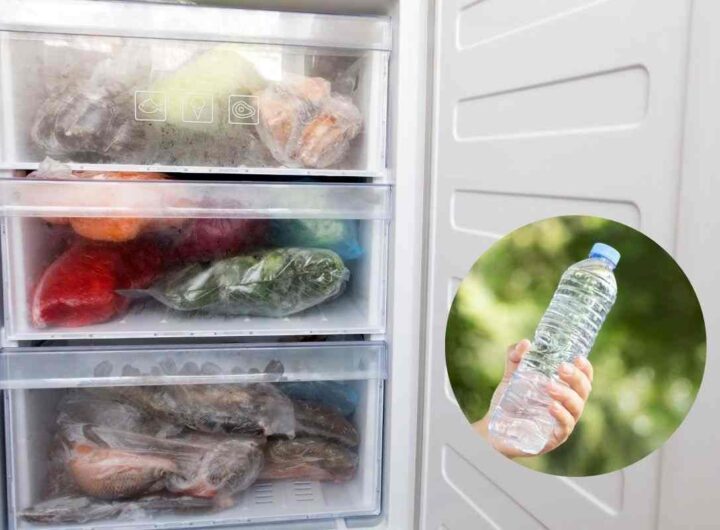congela bottiglie d'acqua, ti aiuteranno a risparmiare