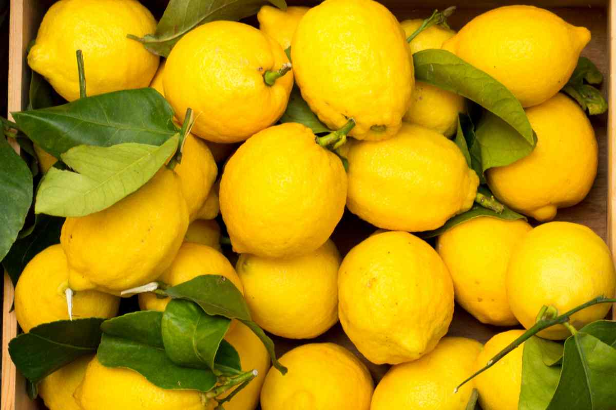 Il trucco "del piattino" per dire addio al raffreddore