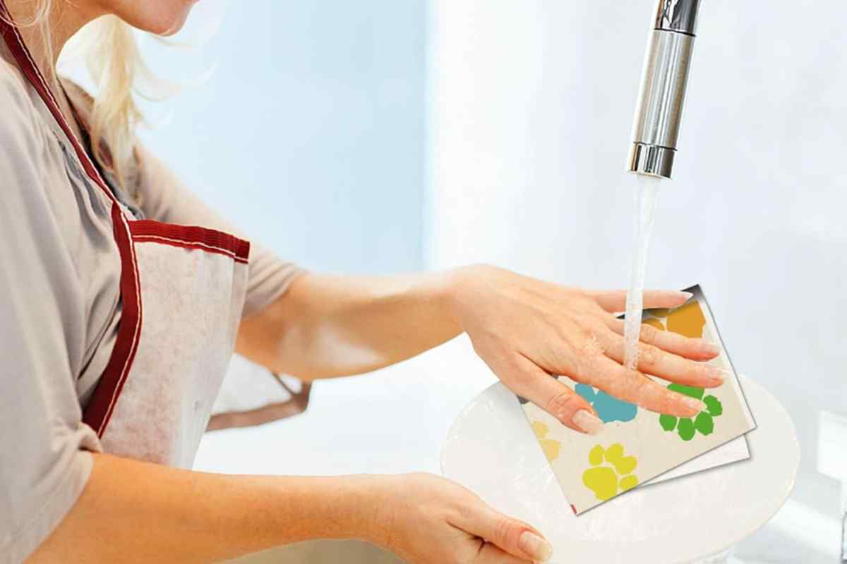 alternativa agli strofinacci