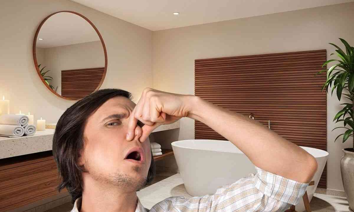 puzza nel bagno la colpa è del sifone