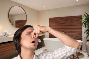 puzza nel bagno la colpa è del sifone