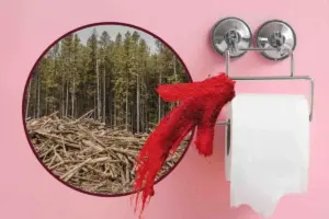 Come la carta igienica invide sulle foreste